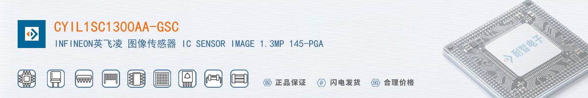CYIL1SC1300AA-GSC������