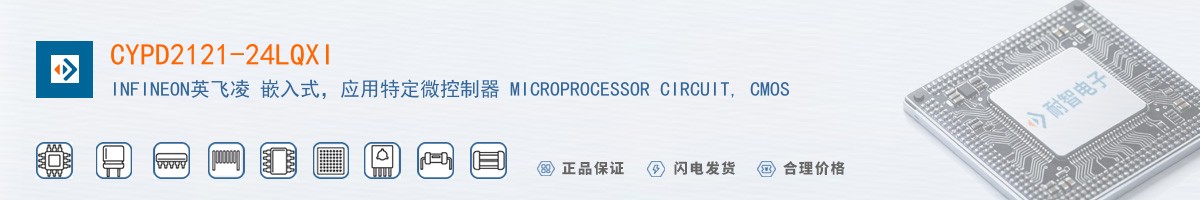 CYPD2121-24LQXI������