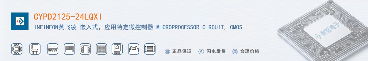 CYPD2125-24LQXI������