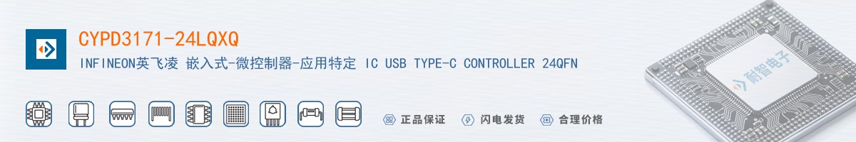 CYPD3171-24LQXQ������