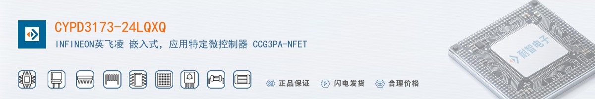 CYPD3173-24LQXQ������