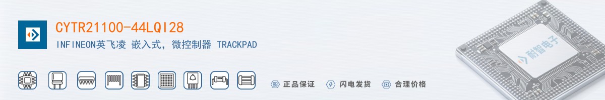 CYTR21100-44LQI28������