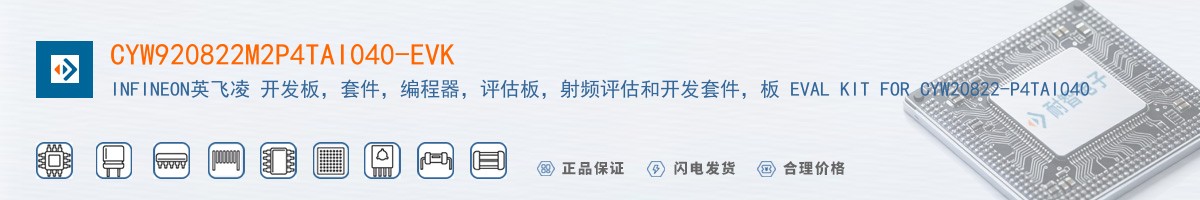 CYW920822M2P4TAI040-EVK������