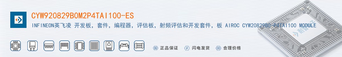 CYW920829B0M2P4TAI100-ES������