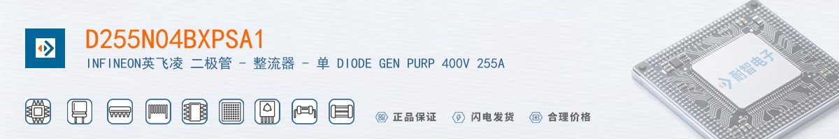 D255N04BXPSA1������