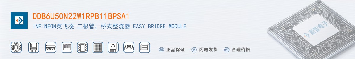DDB6U50N22W1RPB11BPSA1������