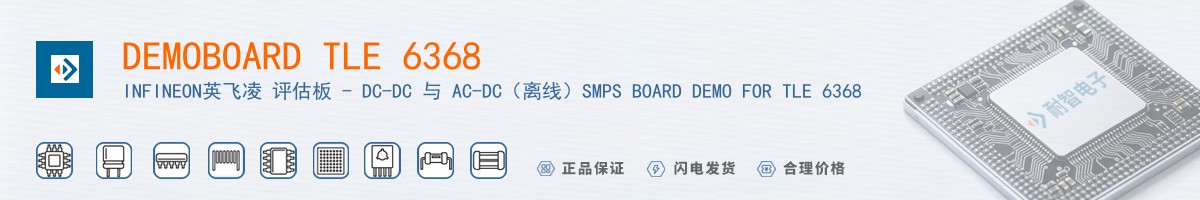 DEMOBOARD TLE 6368������