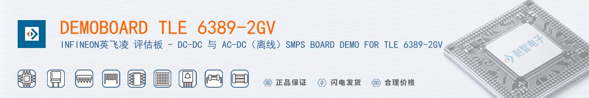 DEMOBOARD TLE 6389-2GV������