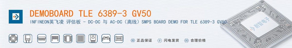 DEMOBOARD TLE 6389-3 GV50������