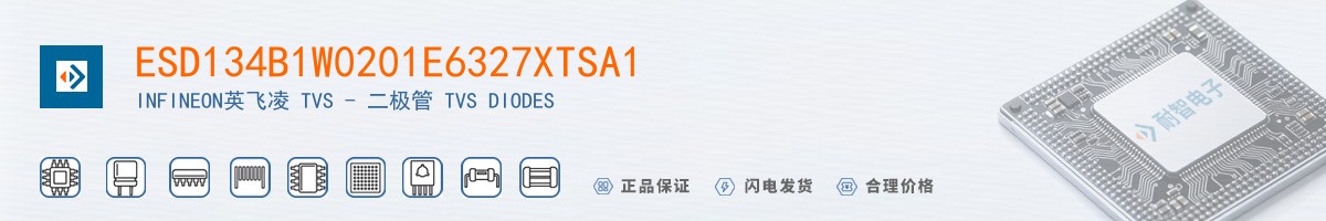 ESD134B1W0201E6327XTSA1������