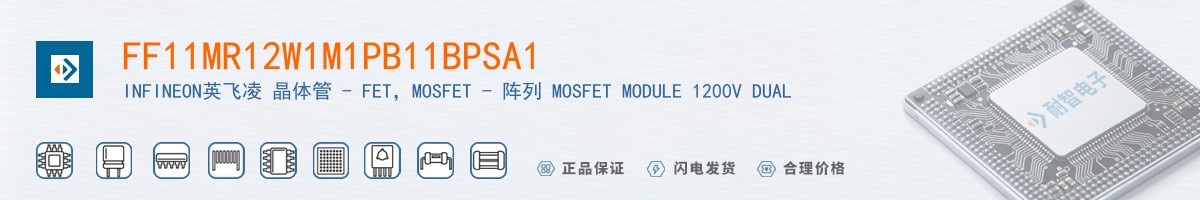 FF11MR12W1M1PB11BPSA1������