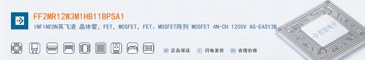 FF2MR12W3M1HB11BPSA1������