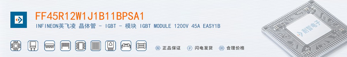 FF45R12W1J1B11BPSA1������