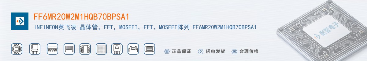 FF6MR20W2M1HQB70BPSA1������