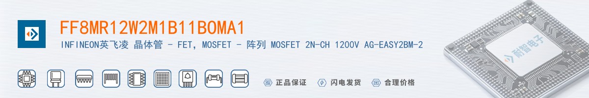 FF8MR12W2M1B11BOMA1������