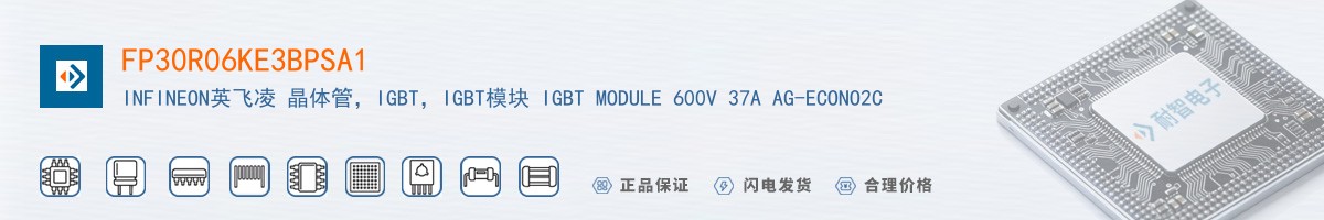 FP30R06KE3BPSA1������