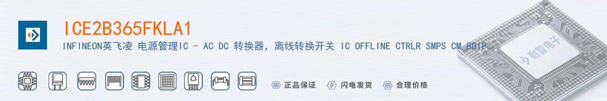 ICE2B365FKLA1������