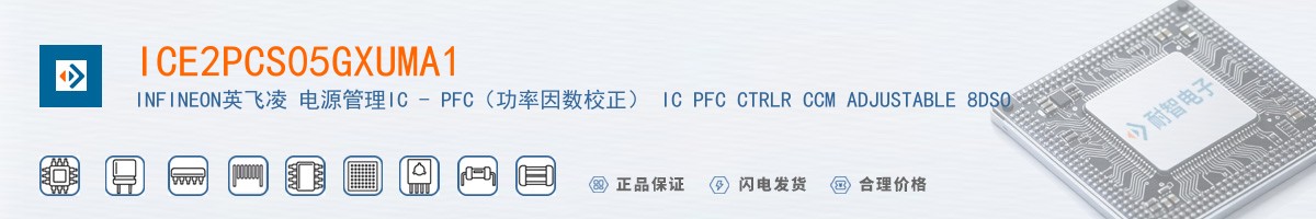 ICE2PCS05GXUMA1������