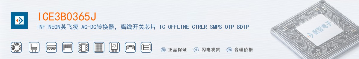 ICE3B0365J������