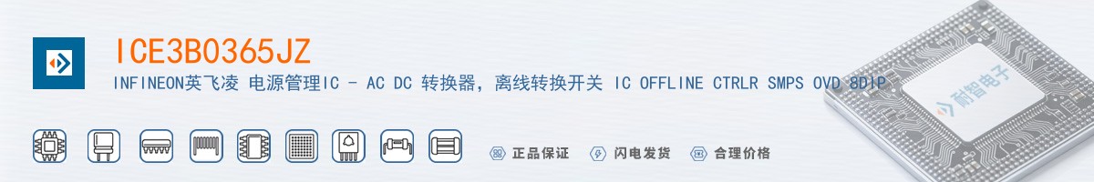 ICE3B0365JZ������