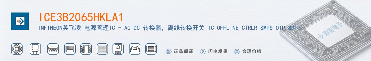 ICE3B2065HKLA1������