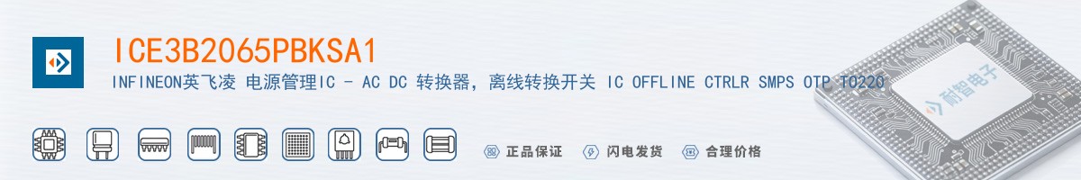 ICE3B2065PBKSA1������