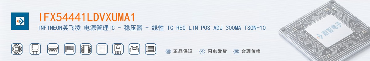 IFX54441LDVXUMA1������