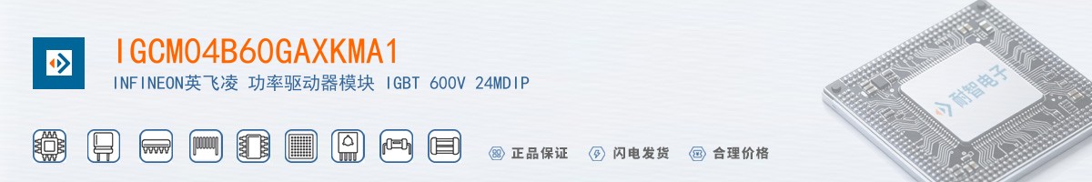 IGCM04B60GAXKMA1������