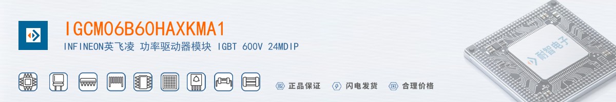 IGCM06B60HAXKMA1������