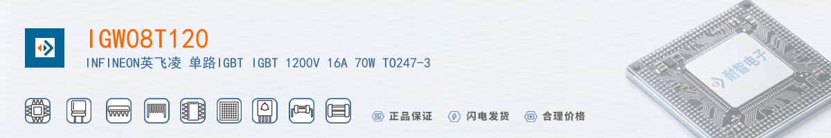 IGW08T120������
