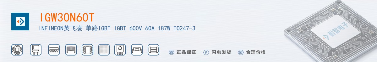 IGW30N60T������