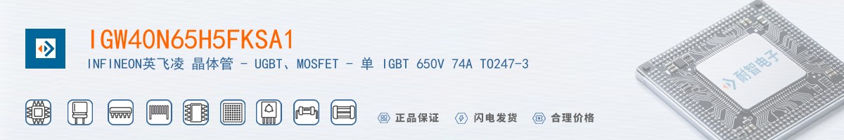 IGW40N65H5FKSA1������