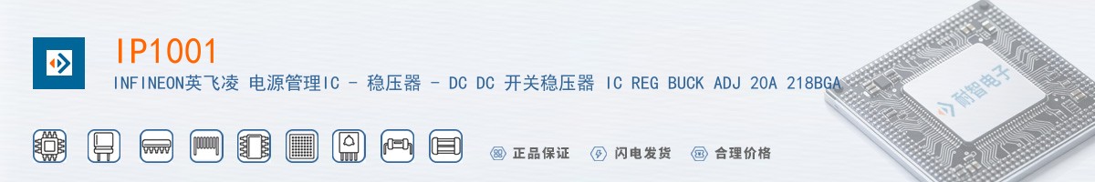 IP1001������