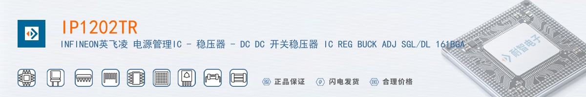 IP1202TR������