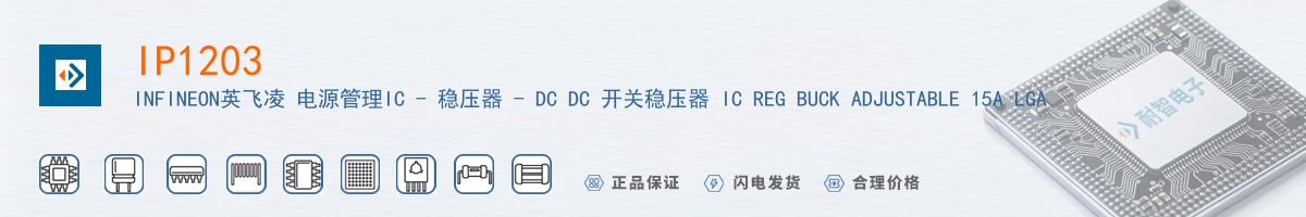 IP1203������