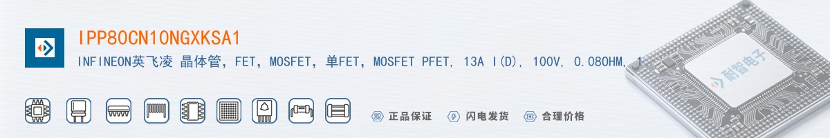 IPP80CN10NGXKSA1������