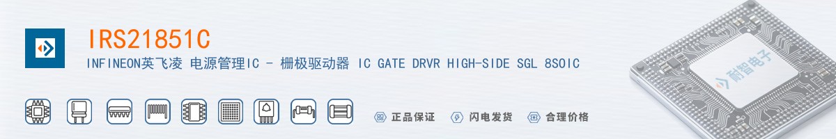 IRS21851C������