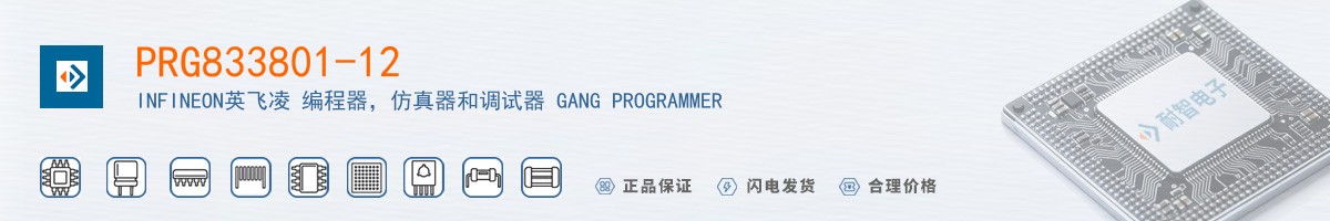 PRG833801-12������