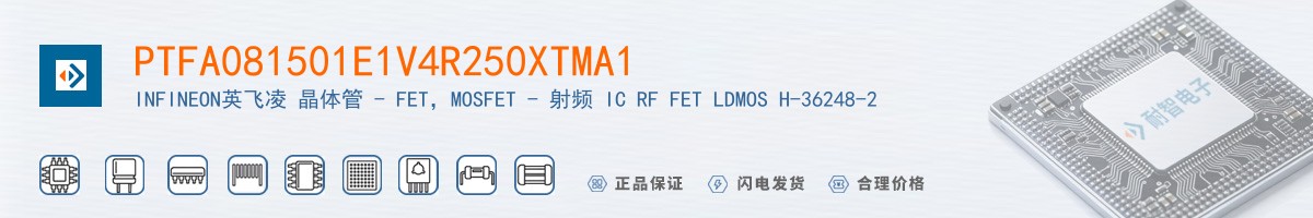 PTFA081501E1V4R250XTMA1������