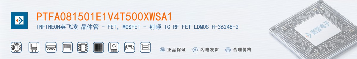 PTFA081501E1V4T500XWSA1������