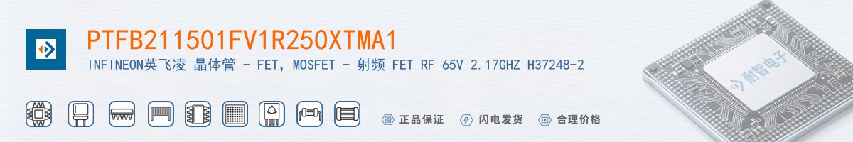 PTFB211501FV1R250XTMA1������