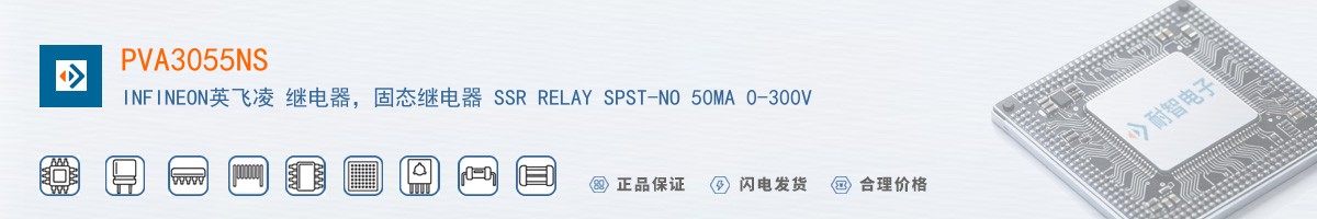 PVA3055NS������