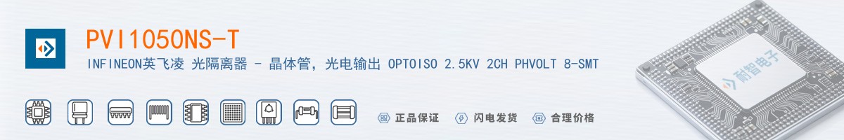 PVI1050NS-T������