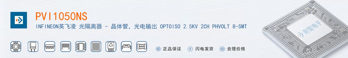 PVI1050NS������