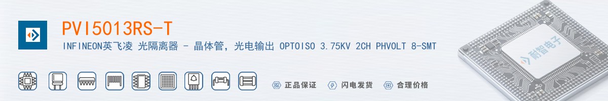 PVI5013RS-T������