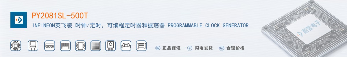 PY2081SL-500T������
