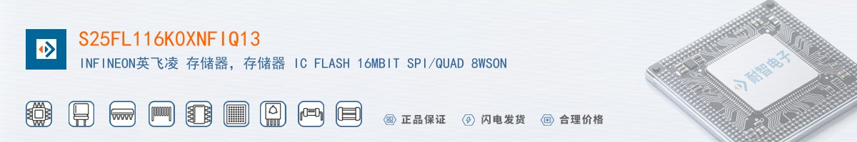 S25FL116K0XNFIQ13������