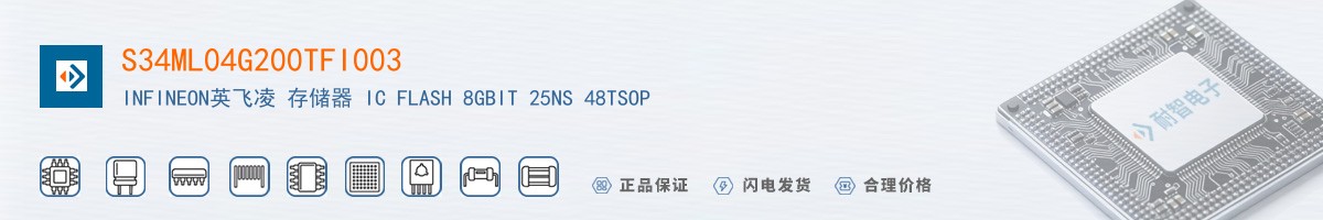 S34ML04G200TFI003������