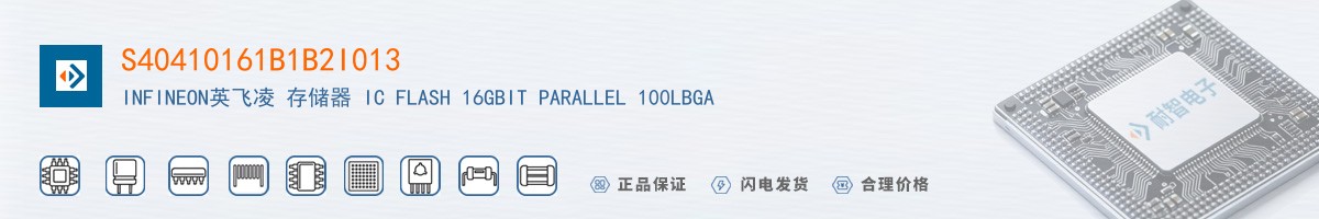 S40410161B1B2I013������