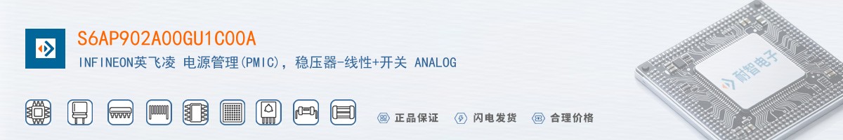 S6AP902A00GU1C00A������